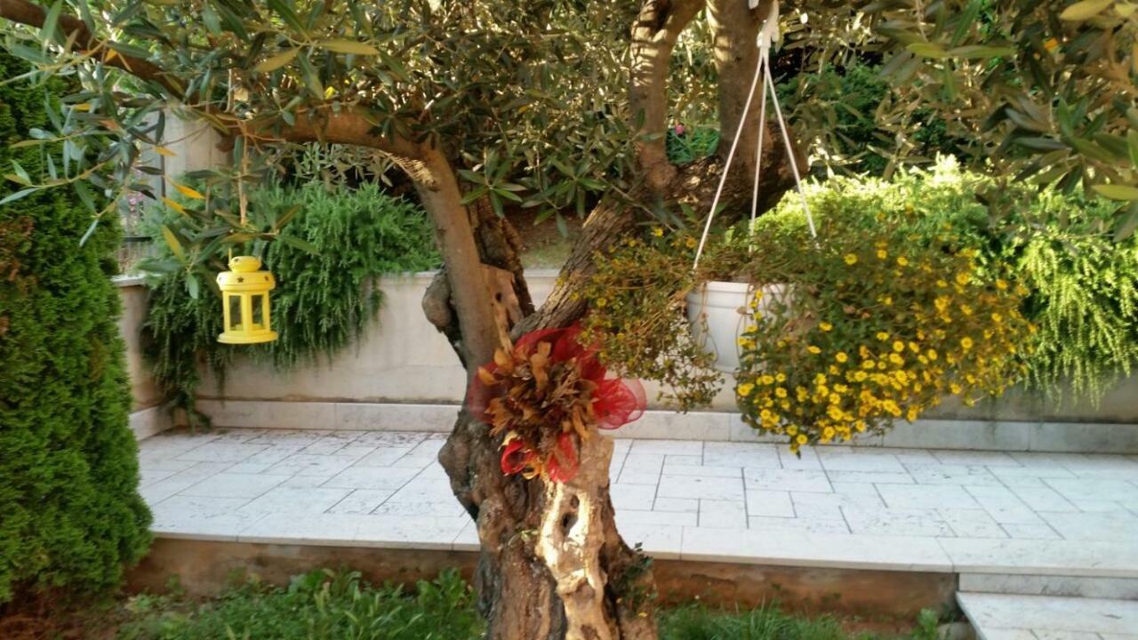 רייקה Apartments In Villa Azra מראה חיצוני תמונה
